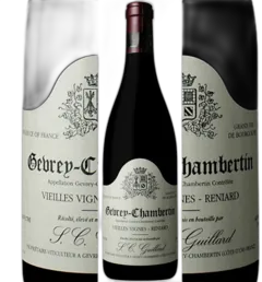 photo du vin Gevrey Chambertin