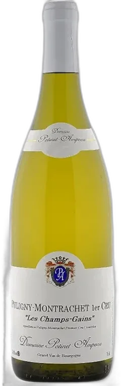 vue du vin Champs Gains 1er Cru Potinet-Ampeau