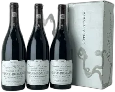 vue du vin Aux Brulées