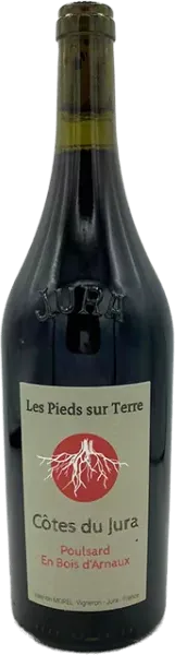photo les Pieds Sur Terre Valentin Morel) Poulsard 