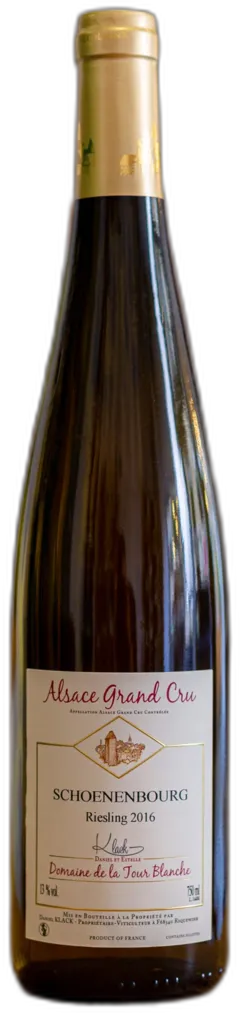 vue du vin Riesling Grand Cru Schoenenbourg Vin d’Alsace Aoc Domaine de la Tour Blanche