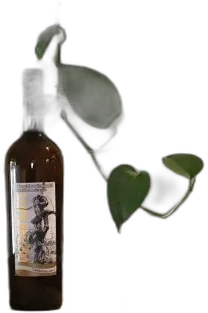 photo du vin Agnanum Sabbia Vulcanica Falanghina