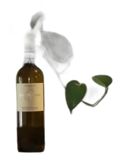 photo du vin Collestefano Verdicchio di Matelica