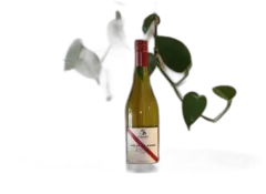 image du vin d’Arenberg The Olive Grove