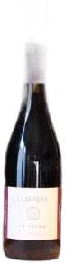 illustration du vin in Amphora