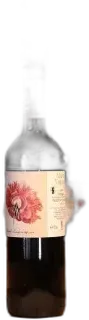 illustration du vin Marta Valpiani