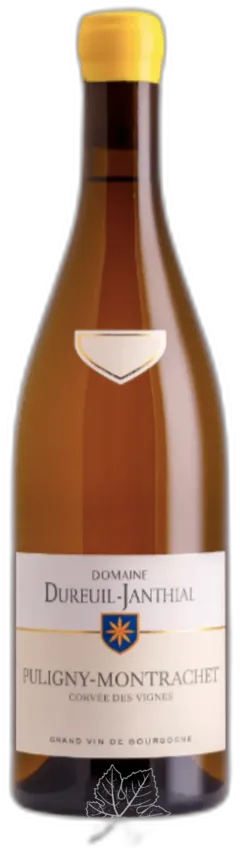 image du vin Corvées des Vignes