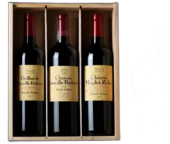 illustration du vin Château Léoville Poyferré