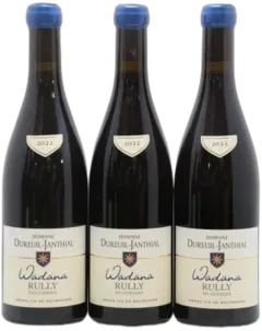 photos du vin Rully Maizières Vincent Dureuil-Janthial