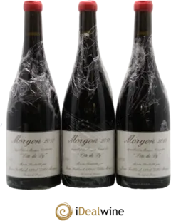 vue du vin Côte du Py