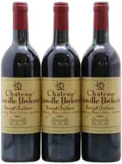 image du vin Château Léoville Poyferré