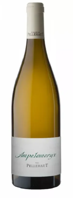 photo Domaine de Pellehaut Ampelomeryx Blanc 2022