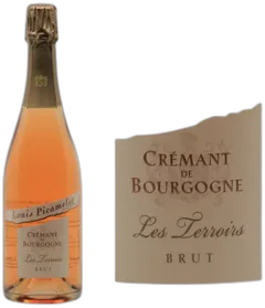 aperçu du vin Les Terroirs Brut Rosé