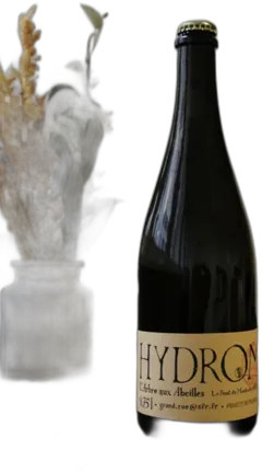 image du vin Hydromel Pétillant