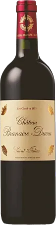 vue du vin Château Branaire Ducru 2010