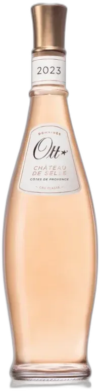 vue du vin Château de Selle