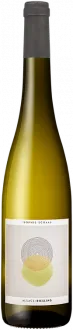 photo Riesling 2023 Sophie Schaal