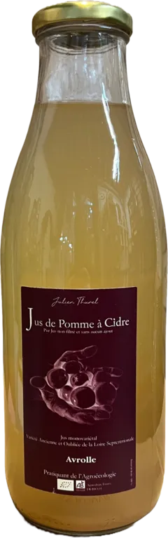vue du vin Domaine Julien Thurel Jus de Pomme Avrolle