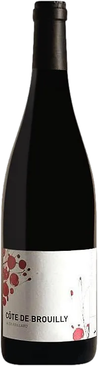 photo cã´te de Brouilly Alex Foillard 2022