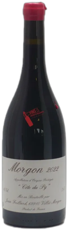 vue du vin Domaine Jean Foillard Morgon "Côte du py" 2023