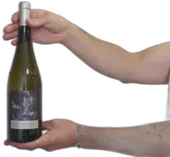 image du vin Domaine Félines Jourdan Picpoul de Pinet Aop Picpoul de Pinet Vin Blanc