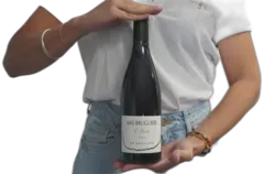 illustration du vin l’Arbouse
