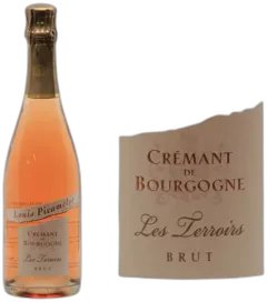 aperçu du vin Les Terroirs Brut Rosé