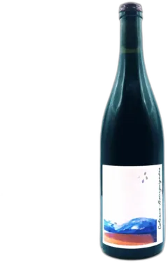 photo la Chaume des Lies Coteaux Bourguignon 2021
