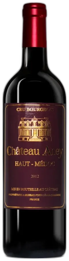 vue du vin Château Aney Haut-Médoc