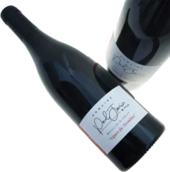 photo Paul Janin et Fils les Vignes du Tremblay Moulin à Vent 2022
