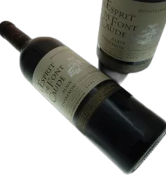 aperçu du vin Domaine Alain Chabanon Esprit de Font Caude Rouge 2019