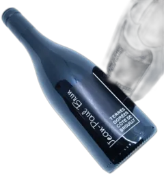 image du vin Terres Dorées Jean Paul Brun Côte de Brouilly Rouge 2022