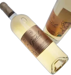 photo Domaine Gentile Muscat du Cap Corse Blanc 2022