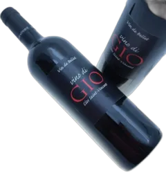 photo du vin Clos Saint Vincent Vino di Gio Bellet Rouge 2020