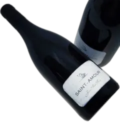 photo Domaine des Terres Dorées Jean Paul Brun Saint Amour 2022