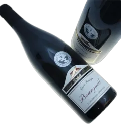 photo du vin Lamé Delisle Boucard Domaine des Chesnaies Bourgueil 2019
