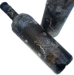 photo du vin Domaine de la Courtade Porquerolles Immergée Blanc 2023