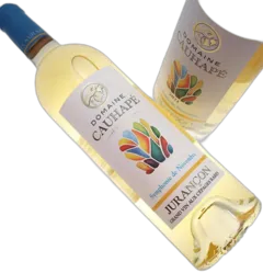 vue du vin Domaine Cauhapé Symphonie de Novembre Jurançon Moelleux 2022
