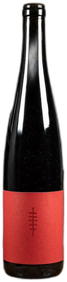 vue du vin Alsace Coteaux Calcaires Pinot Noir