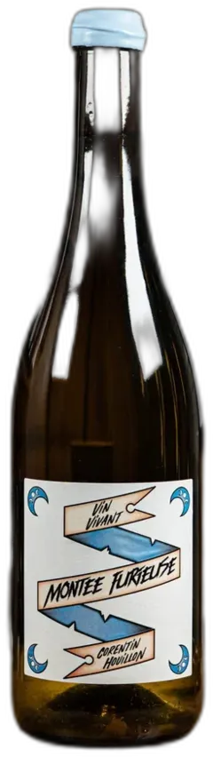 vue du vin Jacquère Montée Furieuse