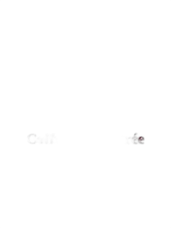 photo du vin Rentrée