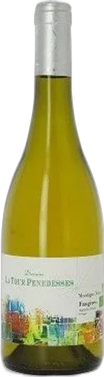 photo du vin Domaine la Tour Penedesses la Montagne Noire
