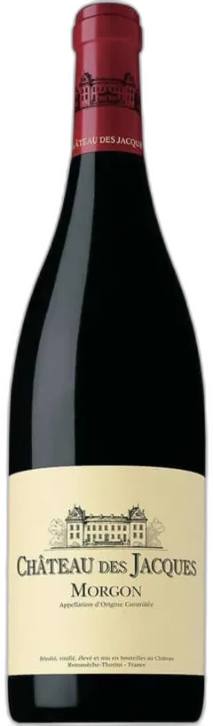 vue du vin Morgon Côte du py Vieilles Vignes Domaine Jacques Depagneux