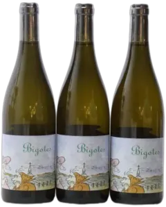 photo du vin Bigotes Qvevris