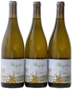 illustration du vin Bigotes