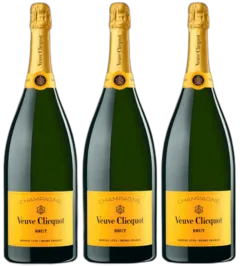 vue du vin Champagne Veuve Clicquot Brut Etui