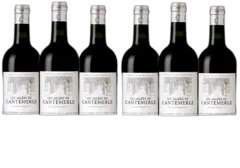 image du vin Château Cantemerle