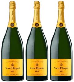 vue du vin Champagne Veuve Clicquot Brut Etui
