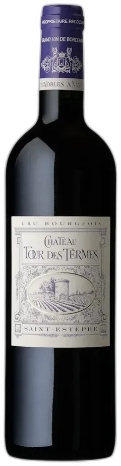 aperçu du vin Château Tour des Termes