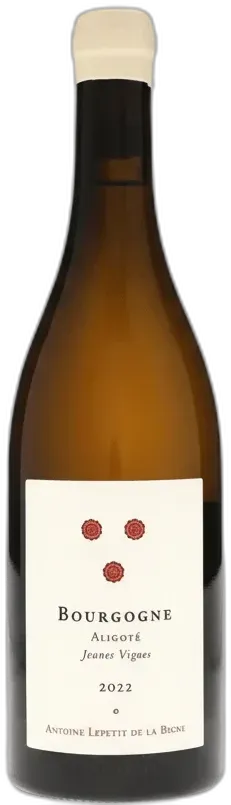 capture du vin Jeunes Vignes
